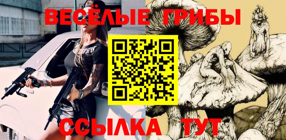 Ногинск  Псилоцибиновые грибы Magic Shrooms  Вход с VPN 